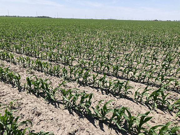 4th image of 0 W Schultz Rd