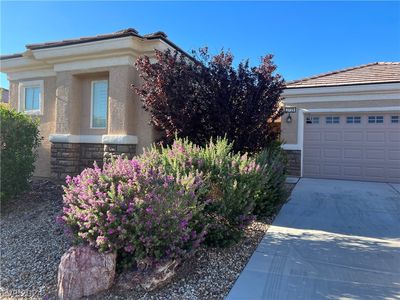 2729 Cuckoo Shrike Ave, North Las Vegas, NV, 89084
