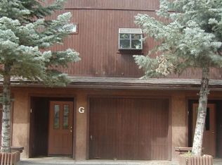 22 Five Springs Rd, Angel Fire, NM 87710