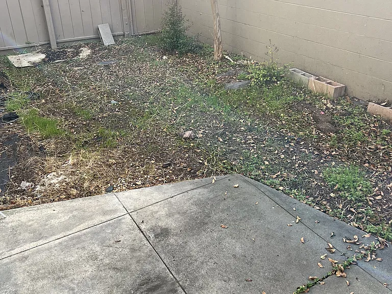 Bart Plaza — Photo 9