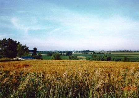 Looking Southeast across the lot