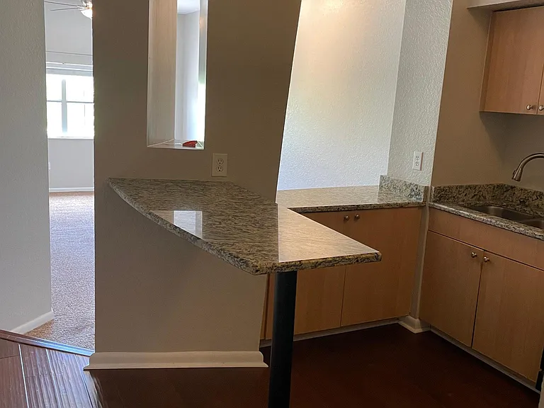 520 S Armenia Ave #1239G — Photo 20