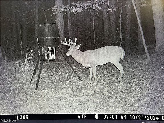 3rd image of 22681 Lexington Rd