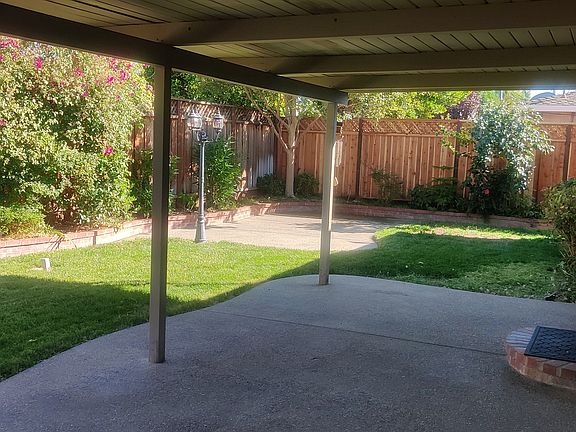 Backyard under pergola