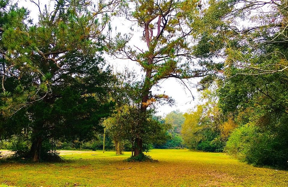 2nd image of 808 Magnolia Rd