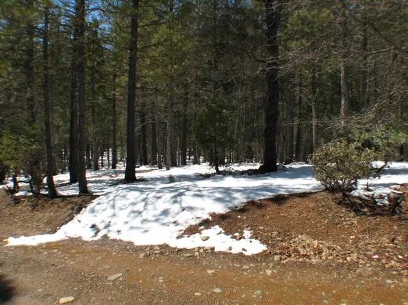 628 Williams Valley Rd, Greenville, CA 95947