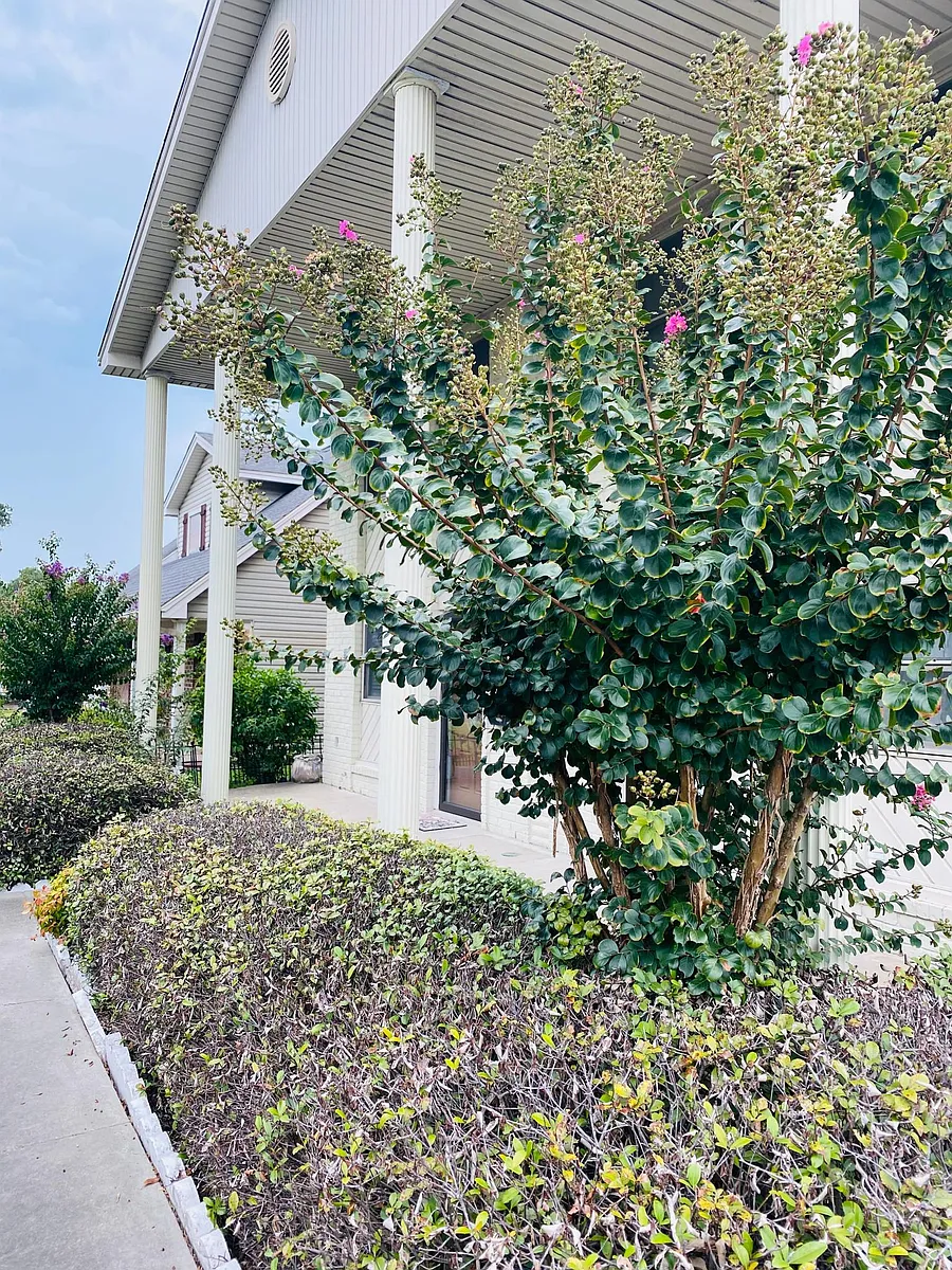 Building Photo - 114 N 36th St