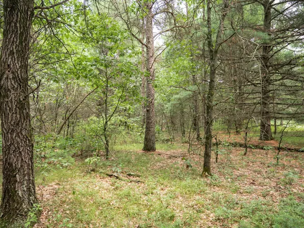 43 Morros Mile Rd, Necedah, WI 54646