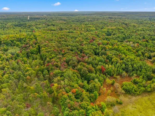 Old Stump Rd, Gaylord, MI 49735