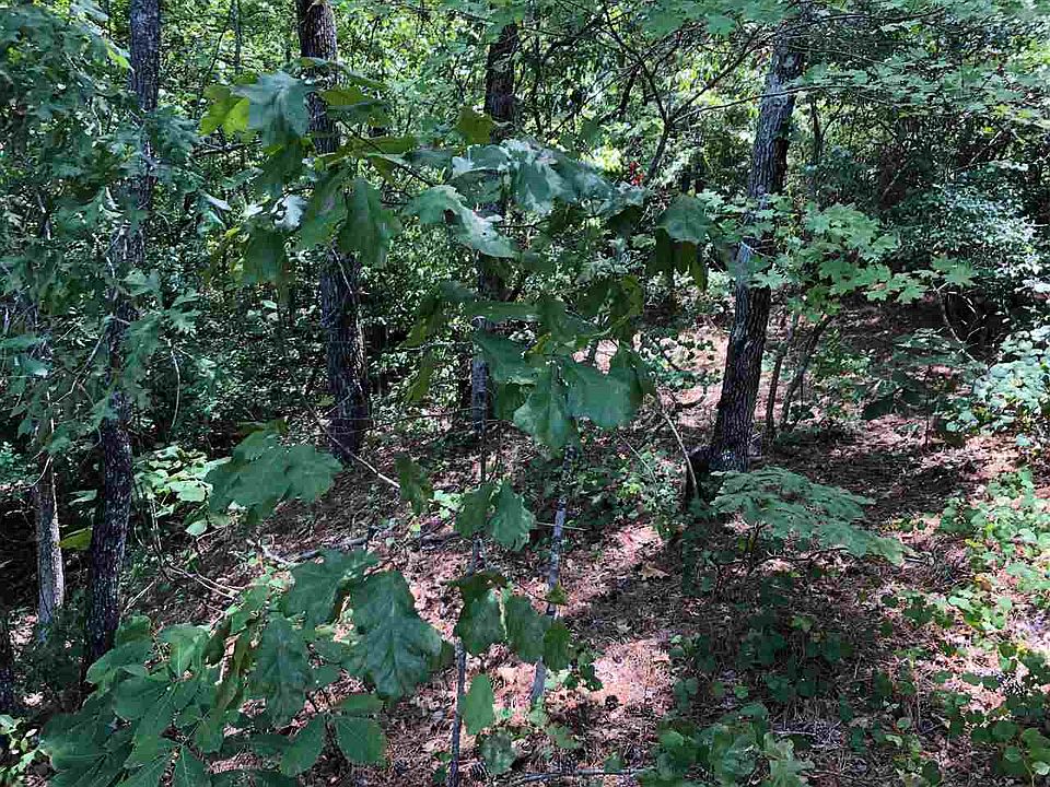 Sue Belle Lake Rd, Marshall, TX 75670 Zillow