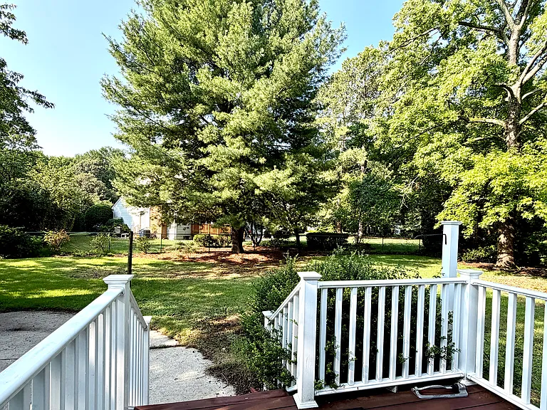 Fenced back yard