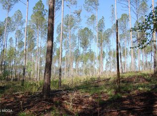 0 State Highway 87 #4, Forsyth, GA 31029