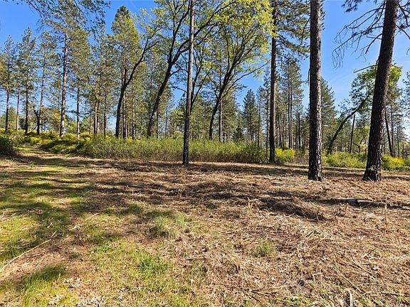 5th image of 2922 Lost Ridge Way