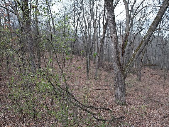 5th image of Lot 5 Rye Bluff Road