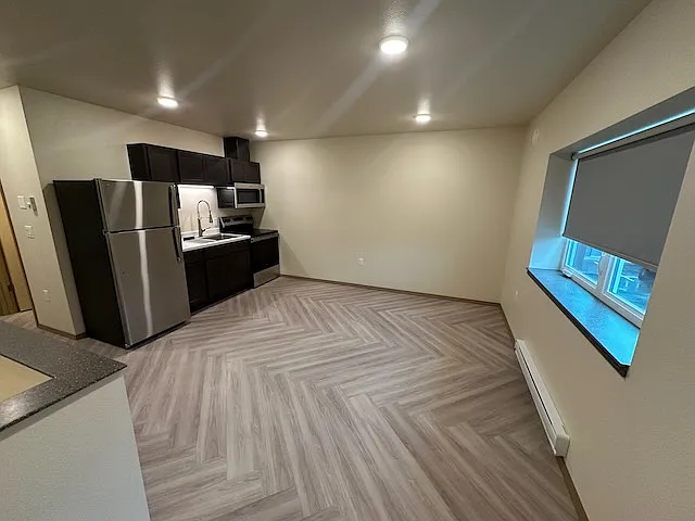 Kitchen and Living areas