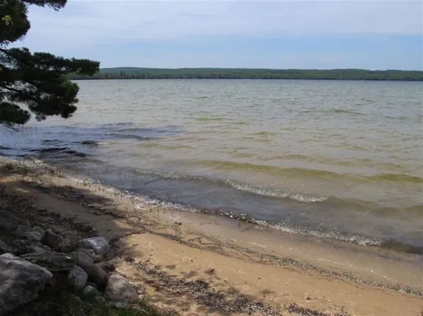 179 Roth Rd, Pellston, MI 49769