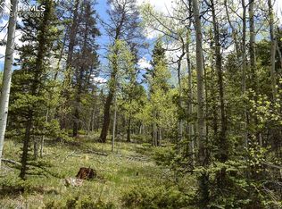 430 Timberline Dr, Guffey, CO 80820