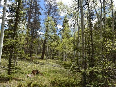 430 Timberline Dr, Guffey, CO, 80820