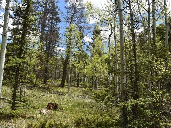 430 Timberline Dr, Guffey, CO 80820