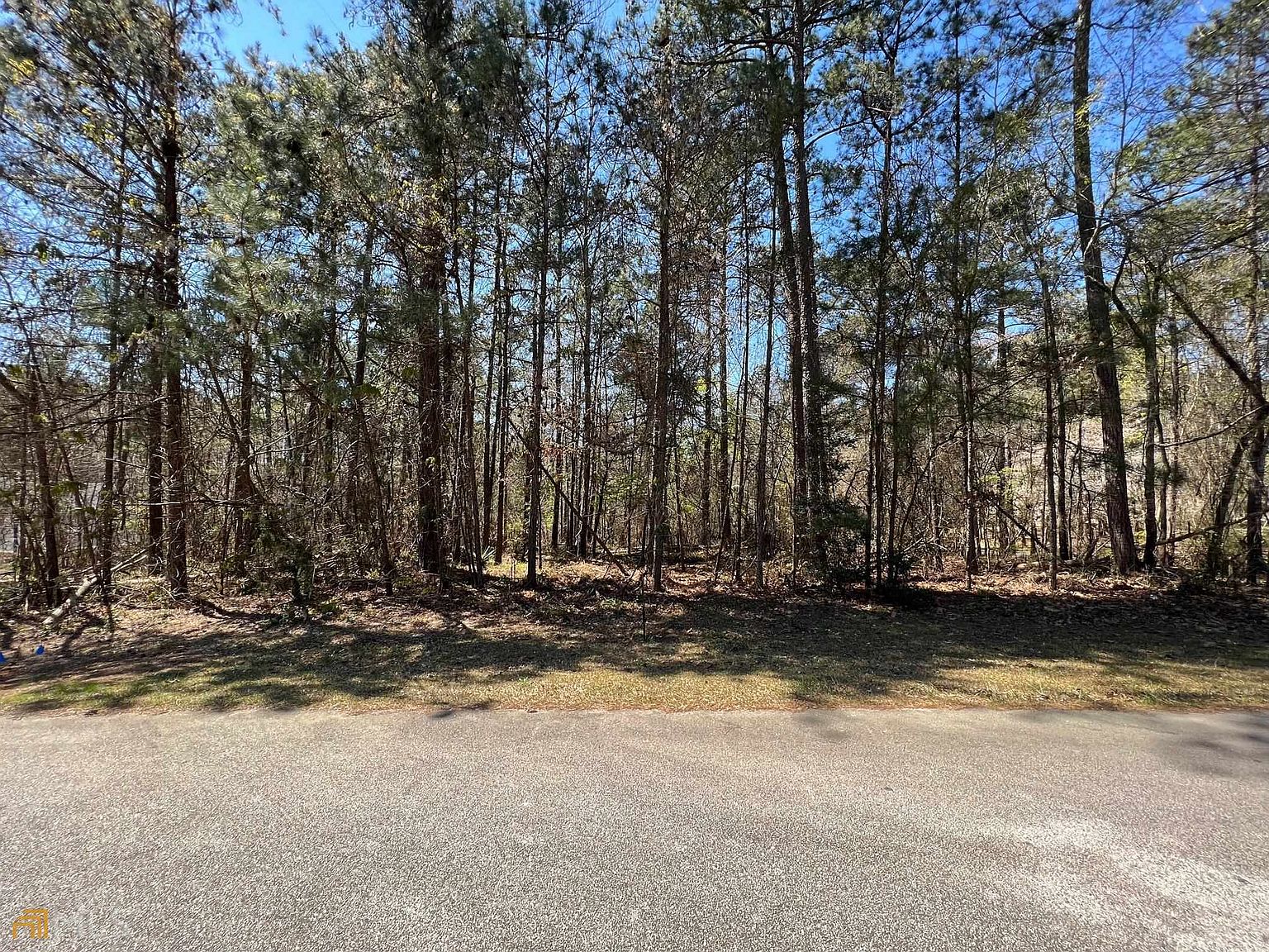 2030 Pine Forest Trl, Jonesboro, GA 30236 | Zillow