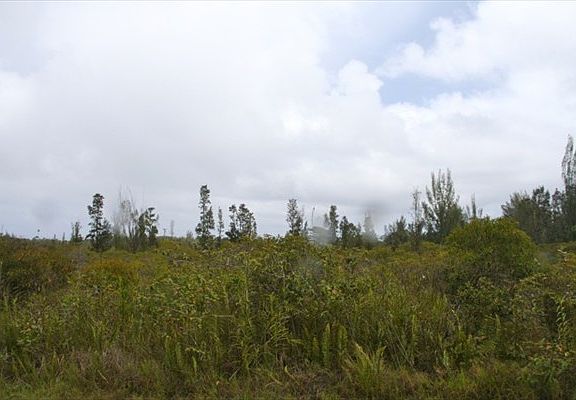 5th image of 3rd Ave Lot 1374