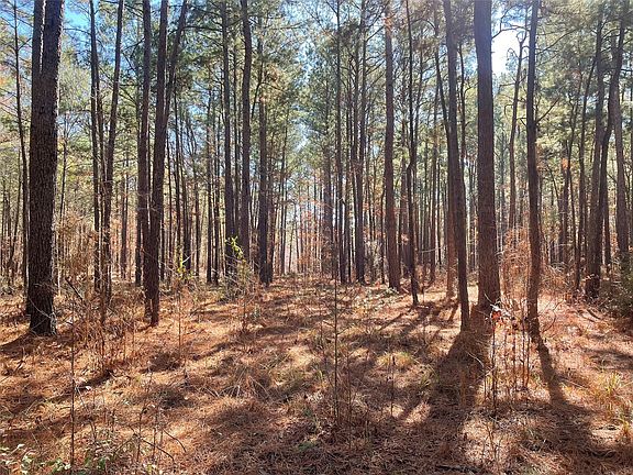 3rd image of 553 Private Road 8356 Lot 13