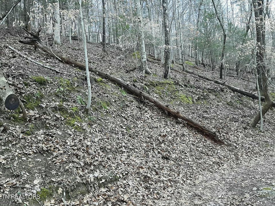 2nd image of 0 Lake Hollow Ln