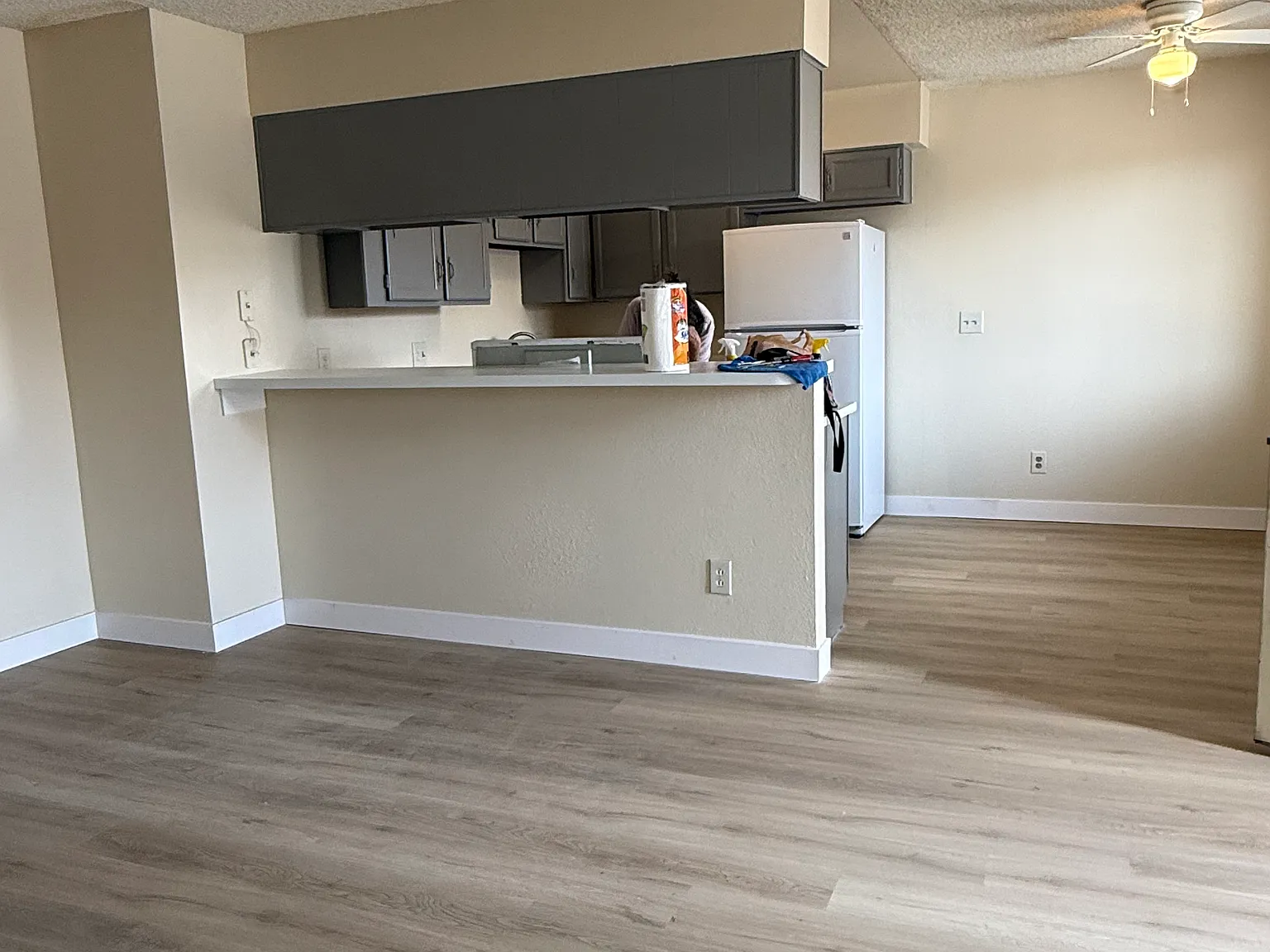 2 bed, 950 sqft, $1,250 — Photo 4