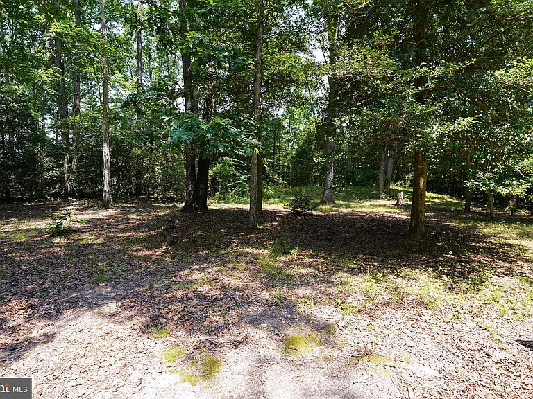 935 Queen Ave — Photo 5