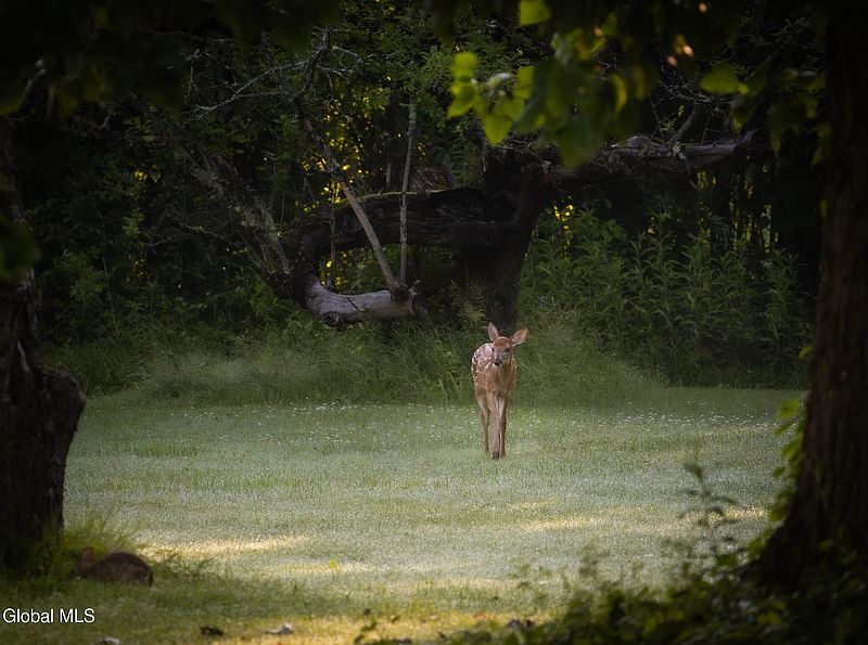 5th image of 318 Ridge Road