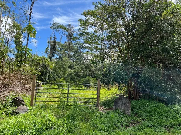 Heepali St Lot 304, Pahoa, HI 96778