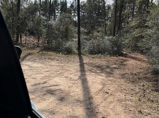 A0181 Nw Psge, Plantersville, TX 77363