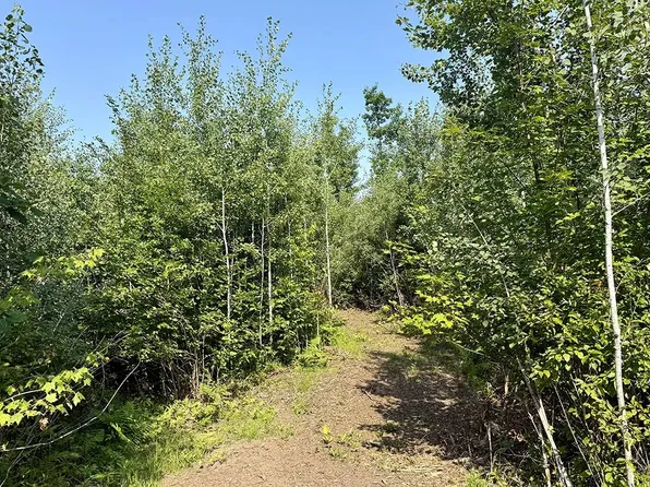 4 E County Road T, Danbury, WI 54830