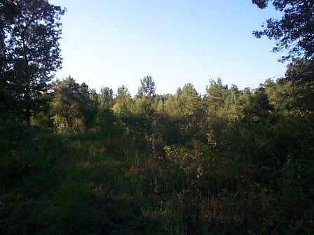 Wooded Acreage