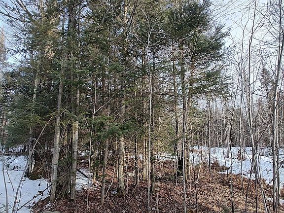 2nd image of On Highway 8