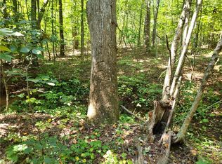 Grassy Knob Rd, Pilot mountain, NC 27041