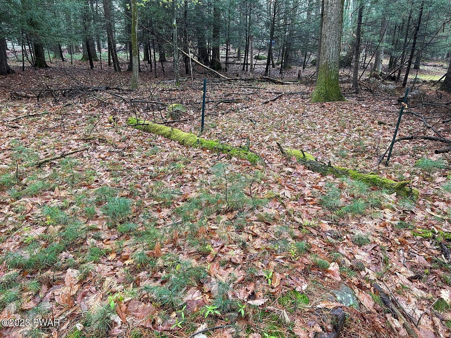 LOT 211 Cottage Rd, Tafton, PA 18464 Zillow