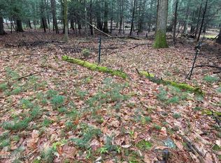 LOT 211 Cottage Rd, Tafton, PA 18464