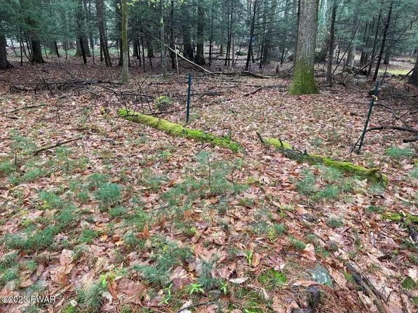 LOT 211 Cottage Rd, Tafton, PA 18464