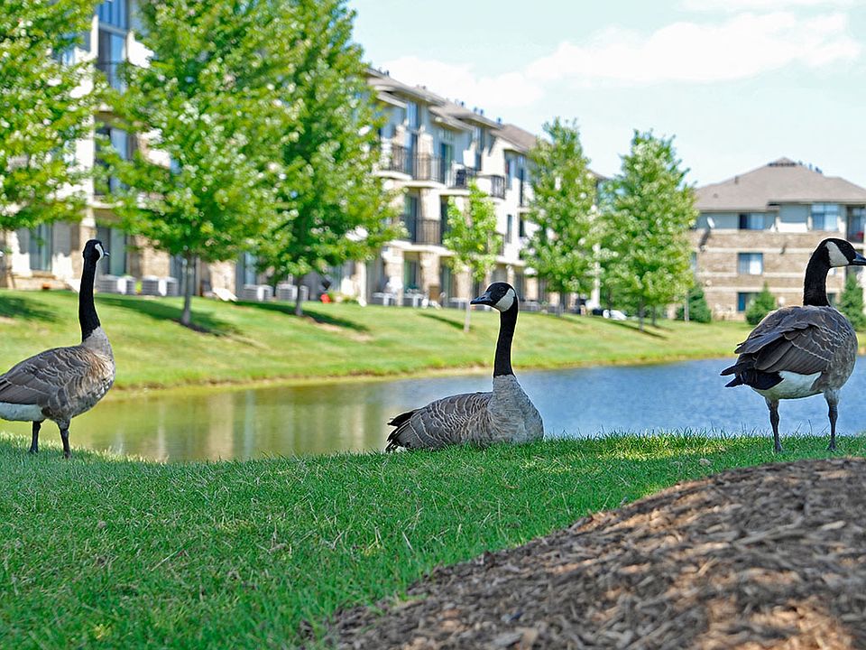 Nature-Filled Community
