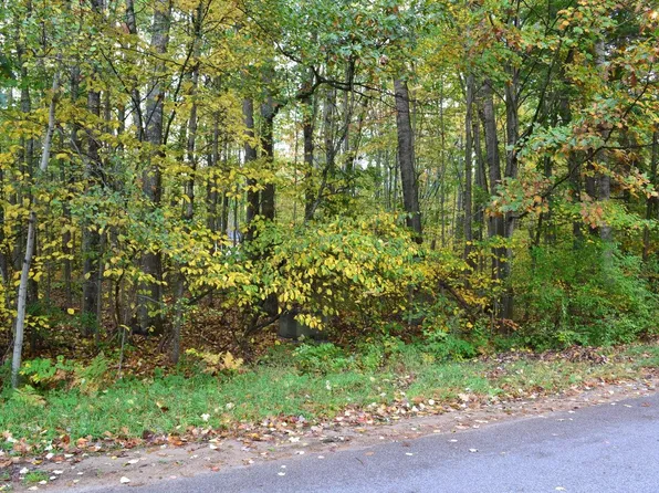 689 Whitebirch Dr, Houghton Lake, MI 48629