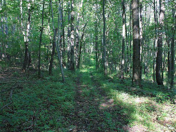 3rd image of Lot 4 Fallecker Road