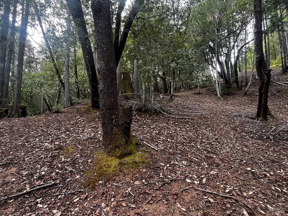 1st image of 1921 Clover Drive