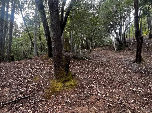 1921 Clover Drive, Willits, CA 95490