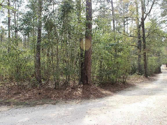 3rd image of 300 Feather Grass Ln