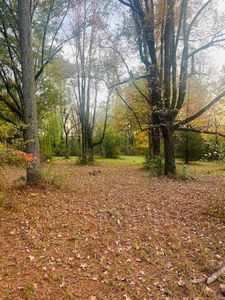 (Undisclosed Address), Monticello, AR, 71655