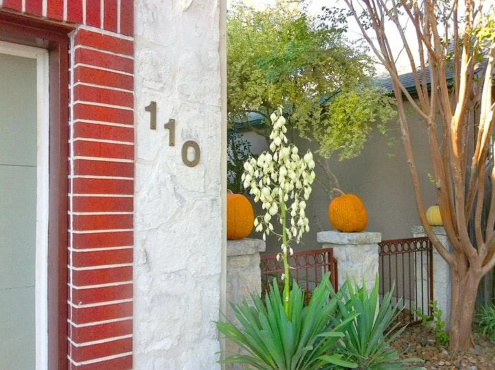 Beautifully landscaped side yard with gated fence