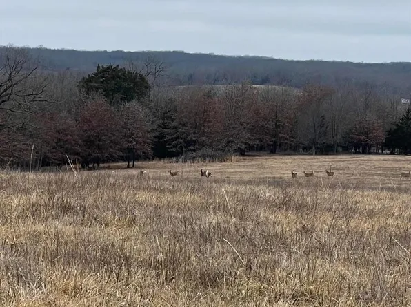 29.5 Acres Tract Hwy #7-72, Salem, MO 65560