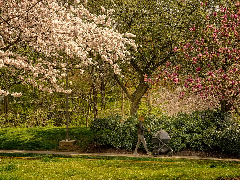 The Magnolia — Photo 38
