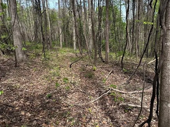 0 Will Boone Rd, Mocksville, NC 27028